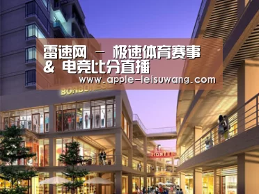 案例展示一(图1)