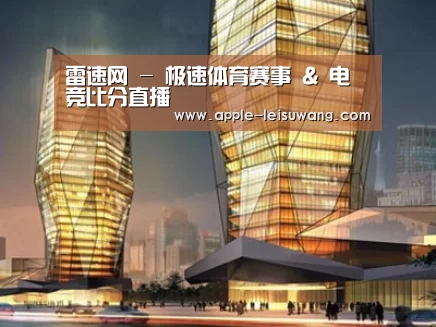 案例展示三