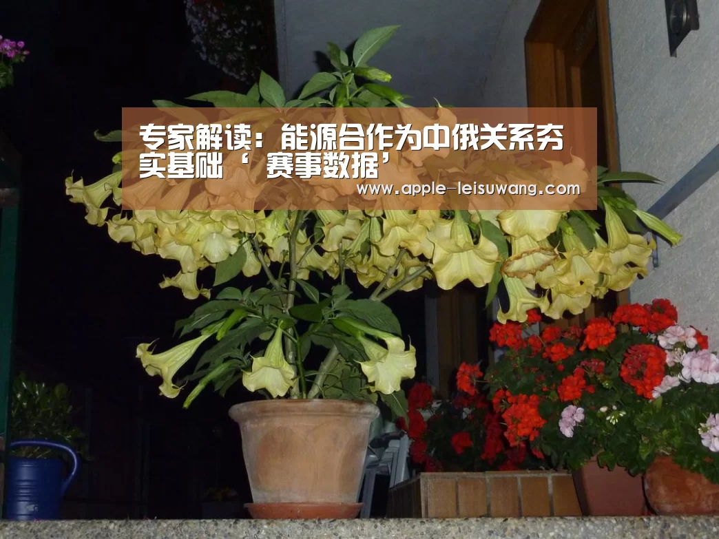 专家解读:能源合作为中俄关系夯实基础‘ 赛事数据’(图2) 赛事数据