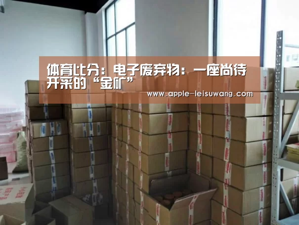 体育比分:电子废弃物:一座尚待开采的“金矿”(图3) 雷速网