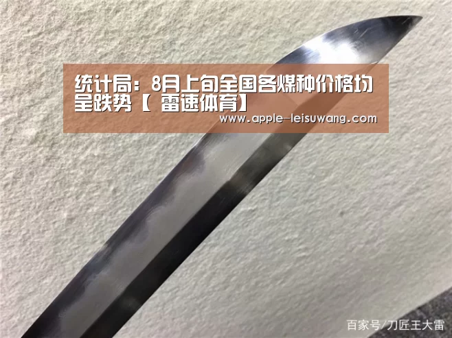 统计局:8月上旬全国各煤种价格均呈跌势【 雷速体育】(图2) 电竞直播