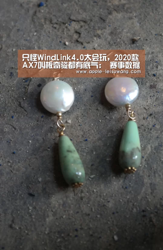 只怪WindLink4.0太会玩,2020款AX7叫板奇骏都有底气: 赛事数据(图1) 体育比分