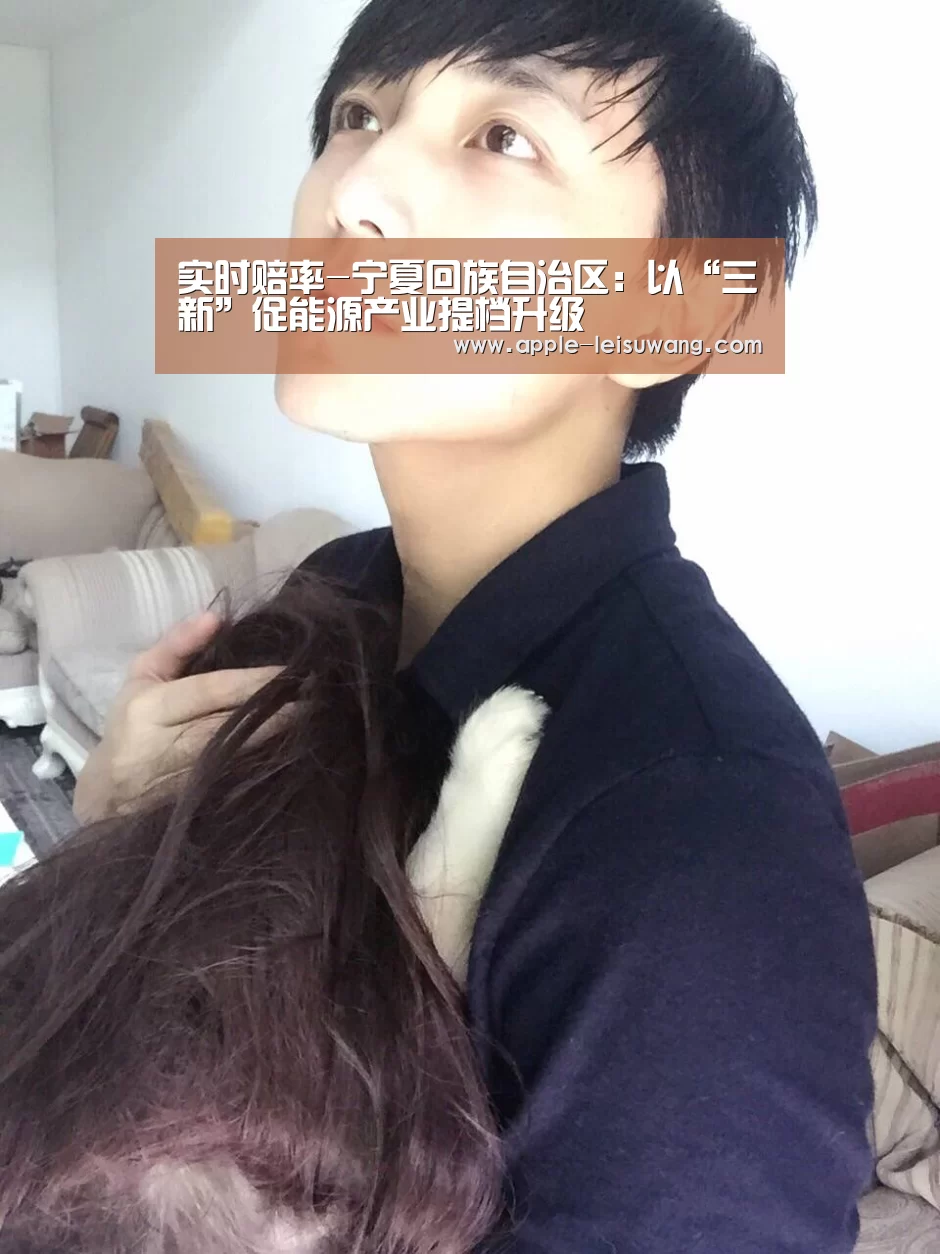 实时赔率-宁夏回族自治区:以“三新”促能源产业提档升级(图2) 实时赔率