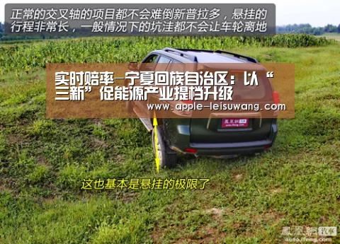 实时赔率-宁夏回族自治区:以“三新”促能源产业提档升级(图4) 实时赔率